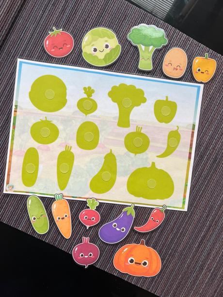 Didaktická zalaminovaná aktivita na suchý zips,