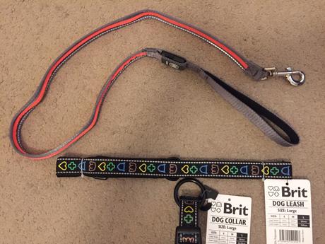 Obojok a vôdzka pre psa,