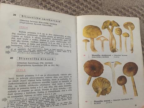 Vreckový atlas húb pilát albert, ušák otto,