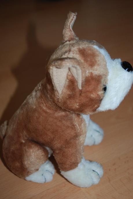 Psík cca 19cm,