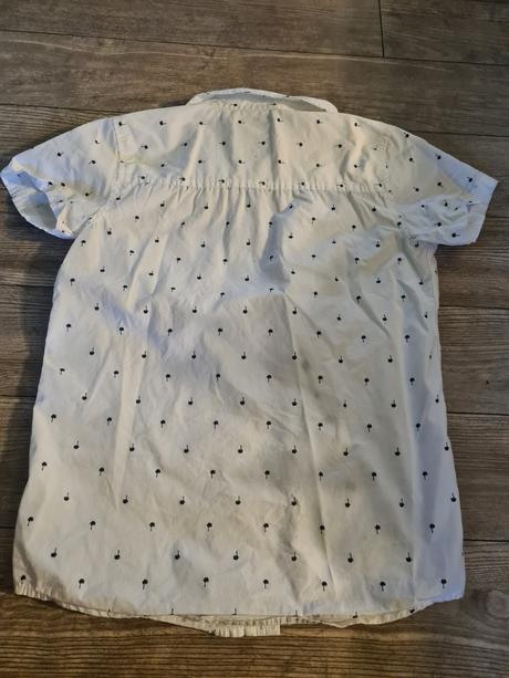 Kosela, chapter young,158