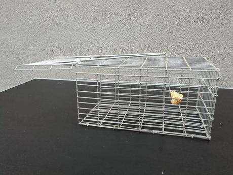Pasca na potkany celokovová 30 x 17 x 15 cm,