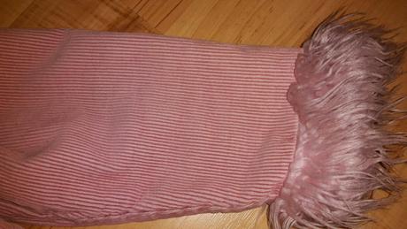 Mencestrovy kabatik, ladybird,104