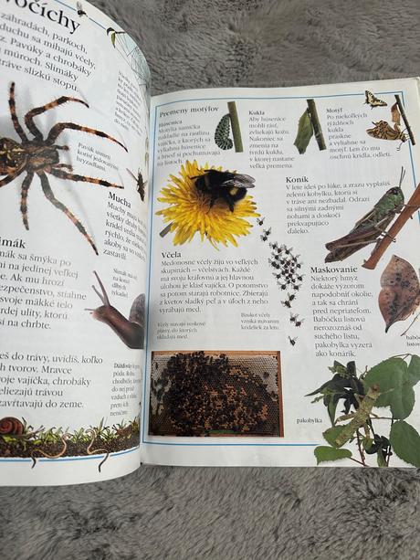 Moja prvá encyklopedia,