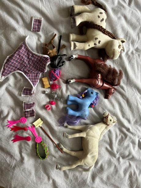 Koníky s príslušenstvom, 