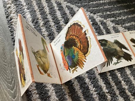 Medzi vtákmi leporelo (1987), 