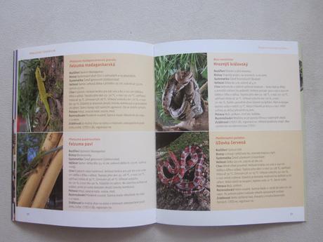 Kniha terárium pre začiatočníkov, 