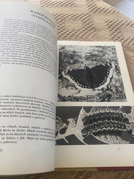 Motýle zblízka jozef ponec,