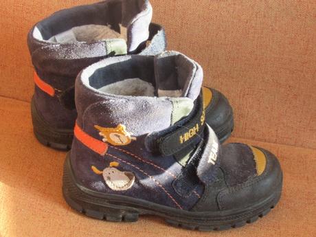 V super stave richter, elefanten,23