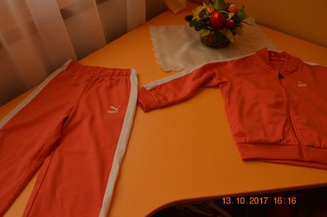 Športova suprava puma, puma,104