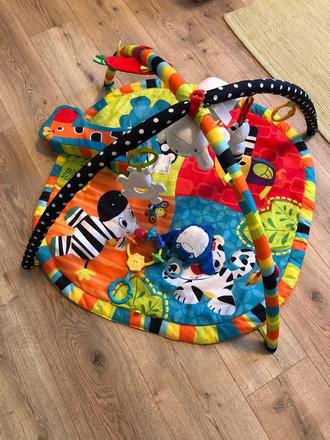 Hrazdicka bright starts, 