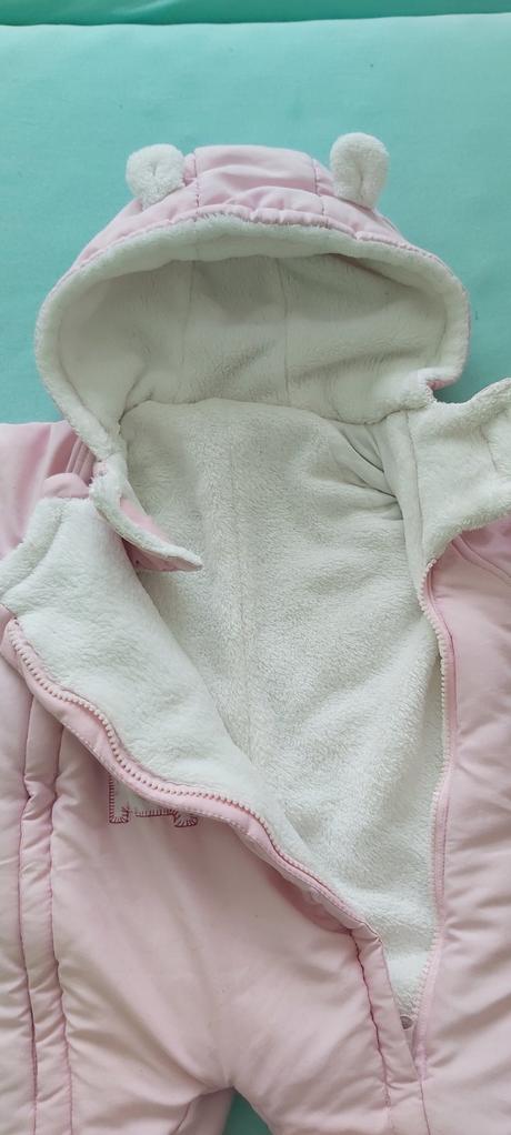 Overal na zimu, st. bernard,62