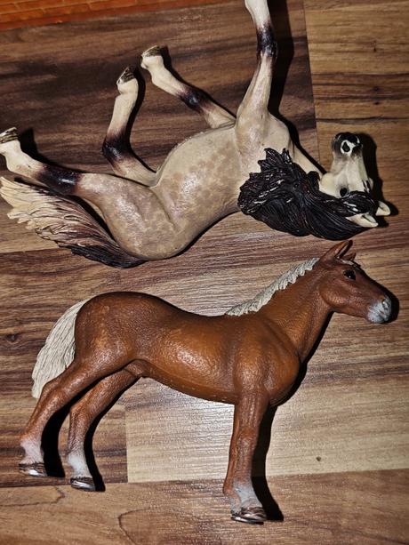 Stajňa schleich, 