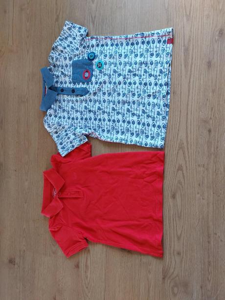 Polokošielky 116, coccodrillo,116