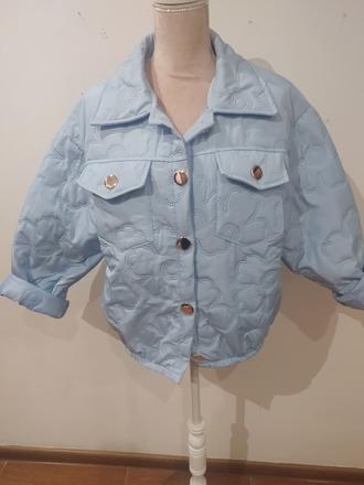 Jarná bunda, l / m / s