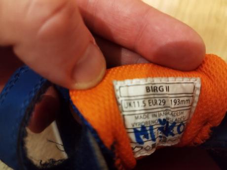 Halovky v. 29 zn. kensis, 29