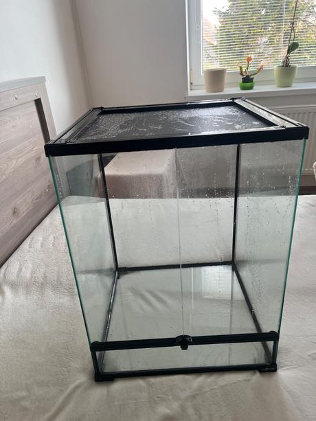 Terarium reptiplanet,