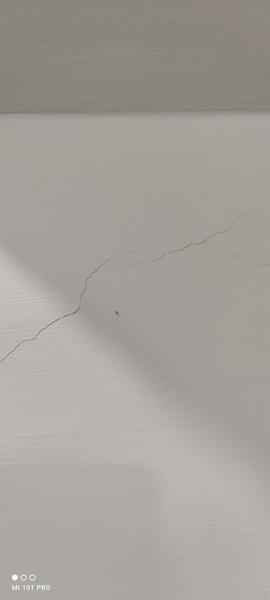 Poznáte tieto malé biele chrobáky?