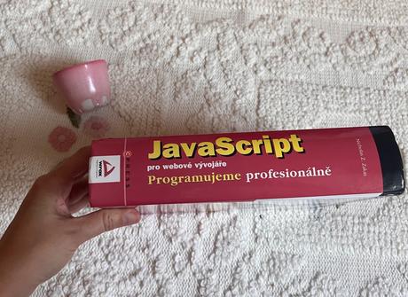 Kniha javascript pro webové vývojáře,