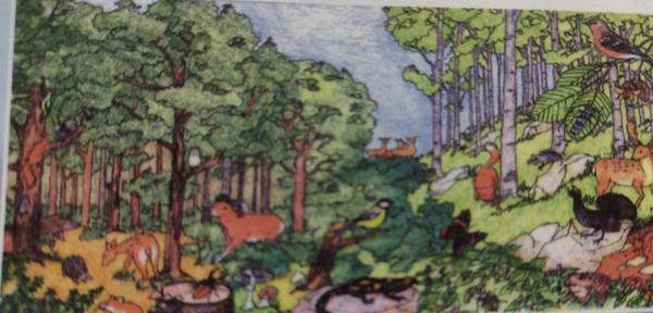 Hľadám knihu - omaľovánku z detstva