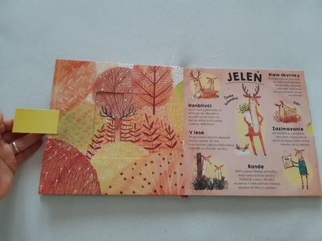 Kde sa schovavaju zvieratka, 