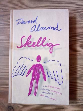 David almond - skellig,