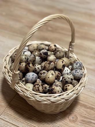 Prepeličie vajíčka, 
