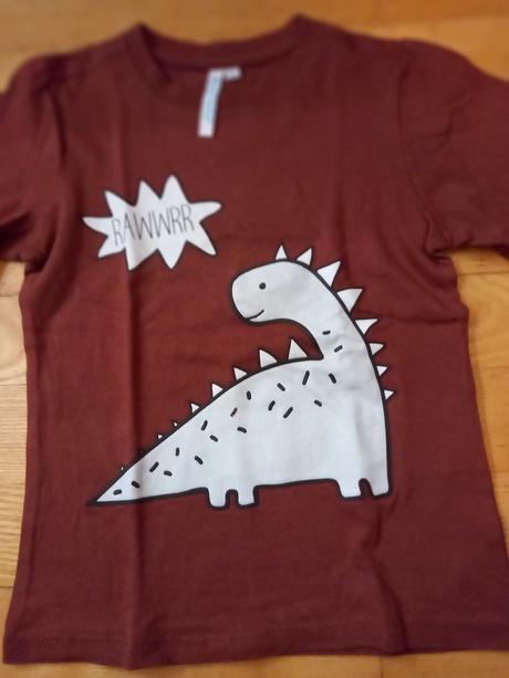 Tričko s dinom, 110