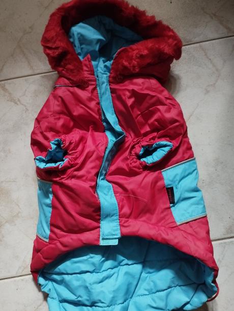 Bundička pre psíka, 