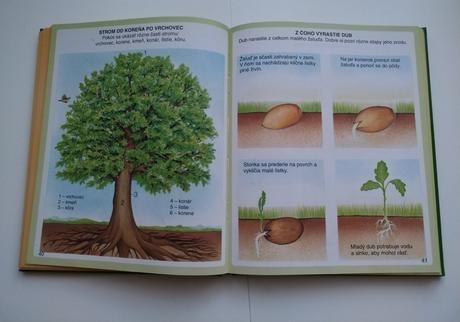 Obrázky z prírody, 