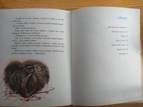 Ako som krstil medveďa rudo moric - 5eur,