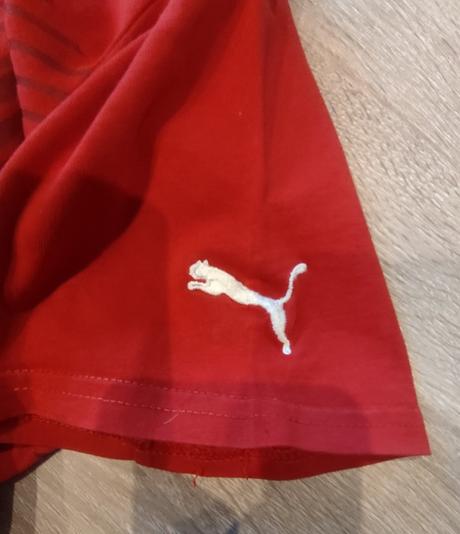 Puma tričko, puma,170