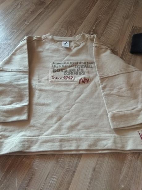 Mikinka, palomino,104