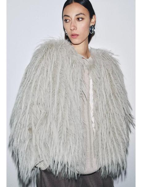 Zara kozuch c. d, zara,s