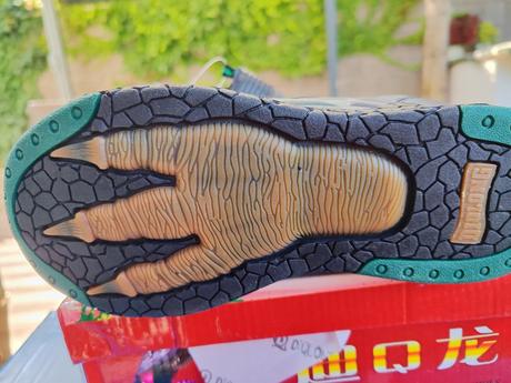 Tenisky s dinosaurom, 36