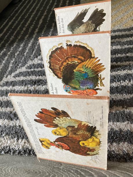 Medzi vtákmi leporelo (1987), 