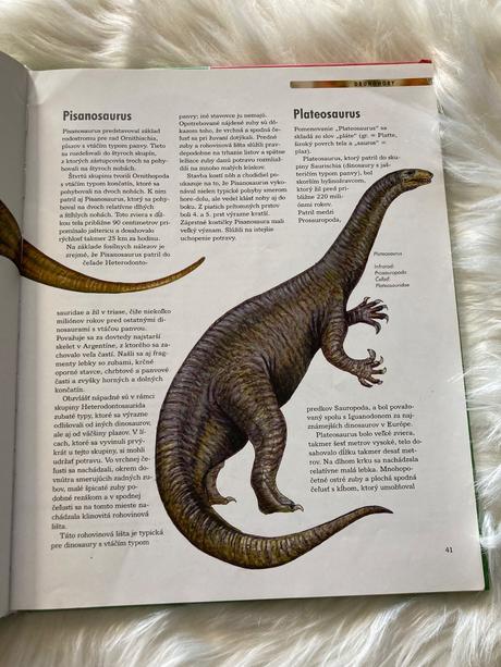 Dinosaury objavy - druhy - vymieranie, 