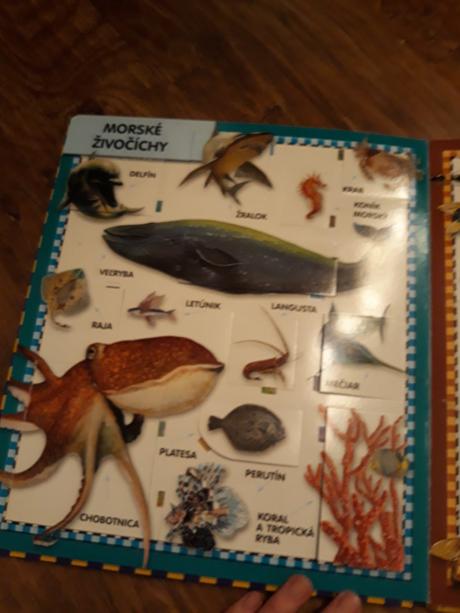 Veĺká kniha zvierat-otvár.okienka,