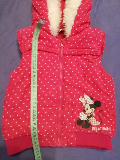 Vesta minnie, disney,104