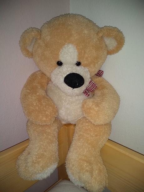 Plyšový medvedík, 