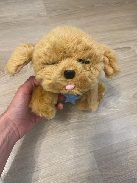 Little live pets - psik, 