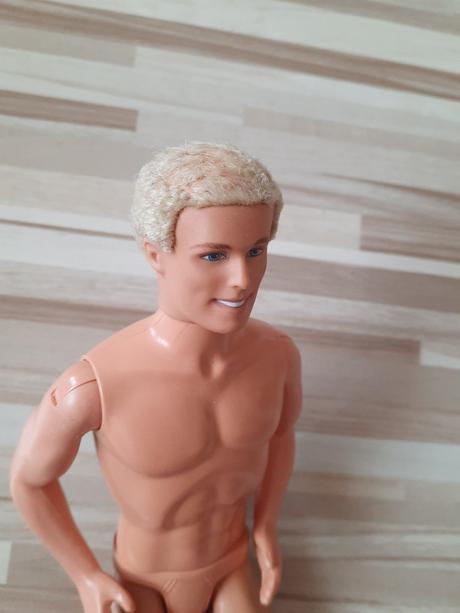 Barbie ken 6,
