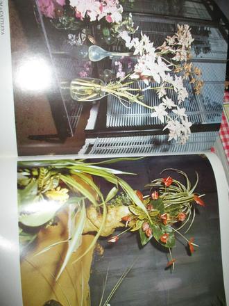 Flora olomouc -kvety- kniha, 