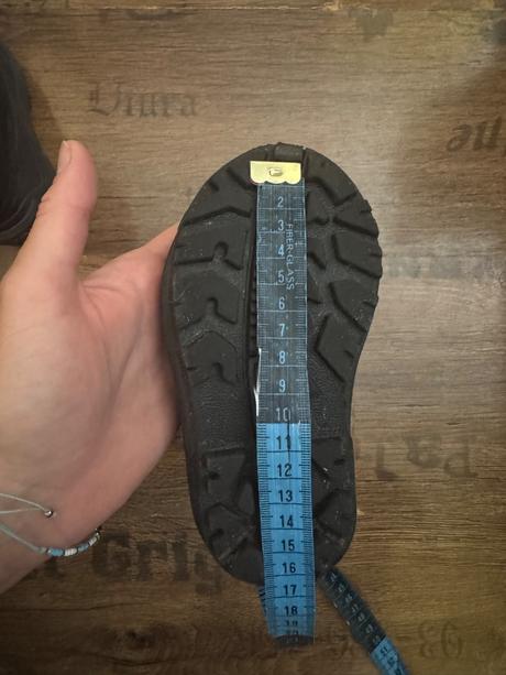 Snehule sorel, sorel,24