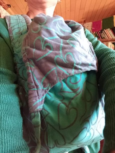 Nosic fidella fly tai, fidella