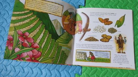 Learning about incas top stav,