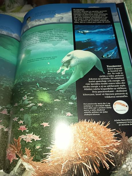 Sprievodca tajomstvami oceanov,