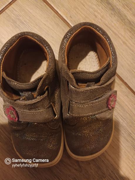 Filii strieborné, filii,25