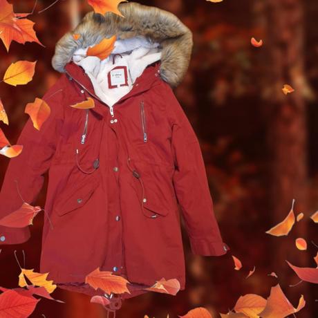 Parka, zimná bunda, l