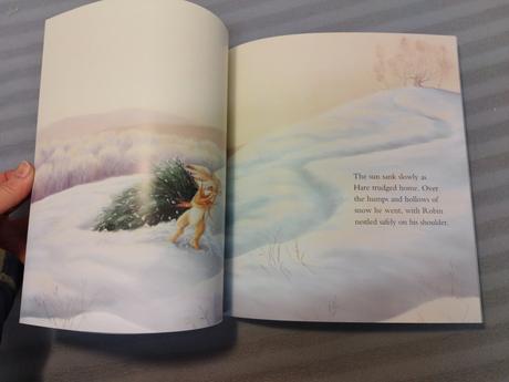 Elizabeth baguley - the little lost robin,